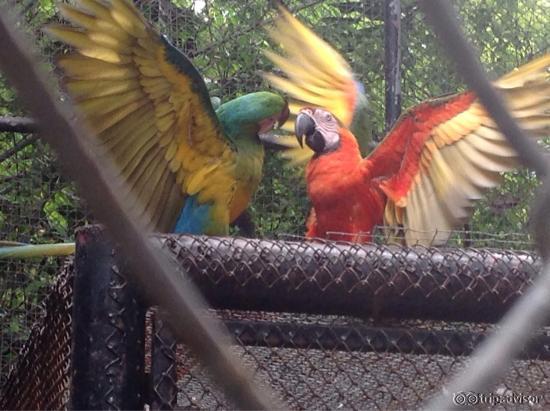 Safari World