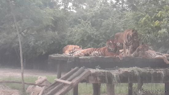 safari world