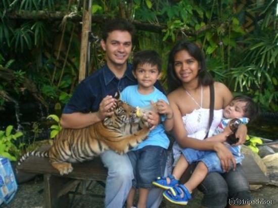 Feeding cubs