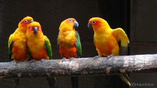 sooo...colourful
