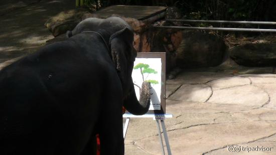 Elephant making a painting