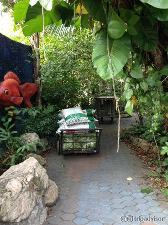 unattended cage with tiger cubs left in a corner
