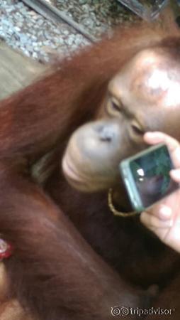Safari World