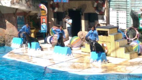 Safari World