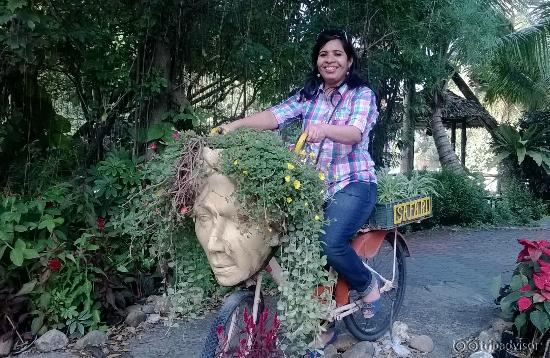 Ride