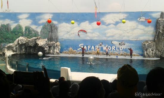 Shows