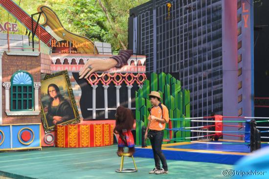 The Fighter Garrila