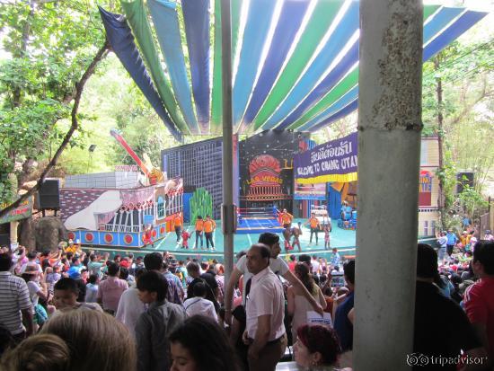 The monkey show