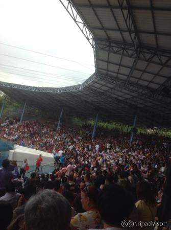 the show