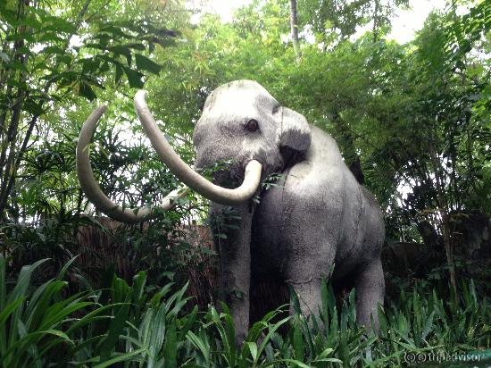 Zoo8