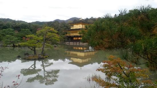 20151119_045727_large.jpg