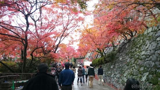 11月最終週。工事中でした。