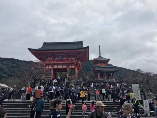 凄い人ですが、景色が凄い良かったです。晴れている時に来れば、京都が一望できる場所ですので1度は行く価値ありです。