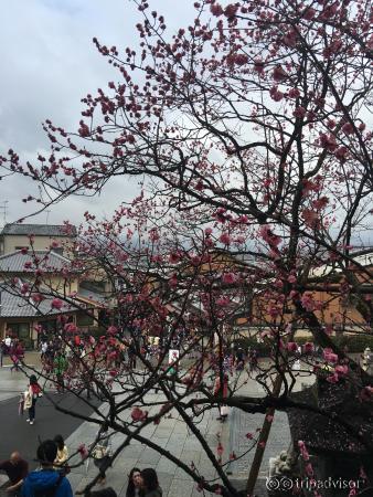 凄い人ですが、景色が凄い良かったです。晴れている時に来れば、京都が一望できる場所ですので1度は行く価値ありです。