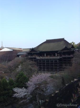 桜は2〜3分咲きでした。