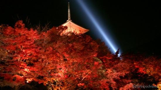 すごいひとでしたがステキでした。2014です