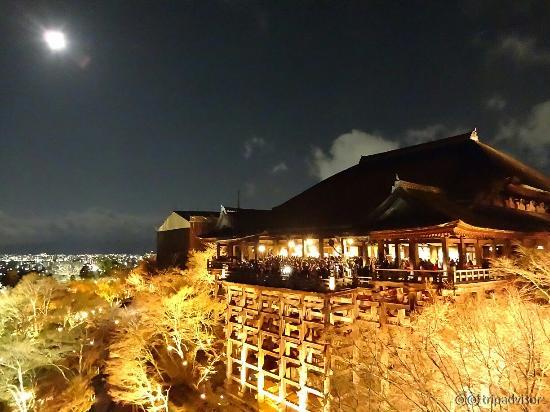 2015年元旦のライトアップされた清水寺が美しくて忘れられません。