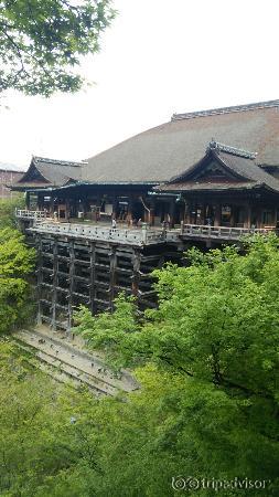 新緑の清水寺2041.04.26