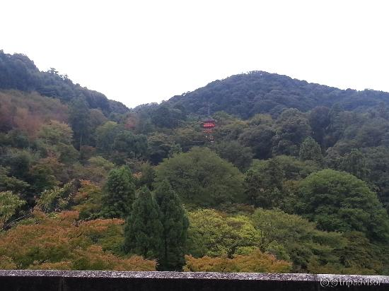 A Look at the Surrounding Hills