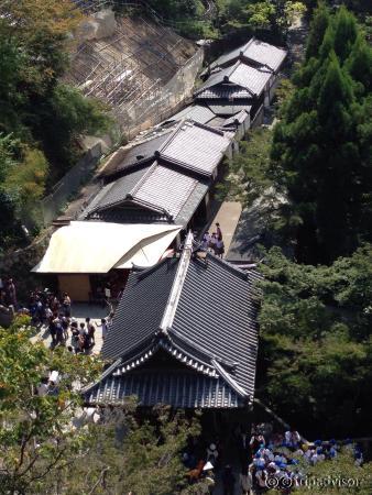 A picture taken from the temple top.