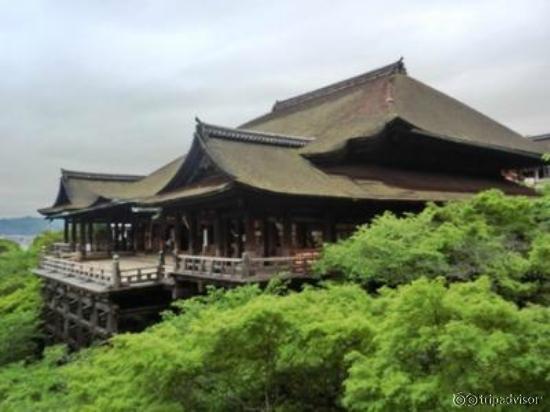 新緑のなかの清水寺