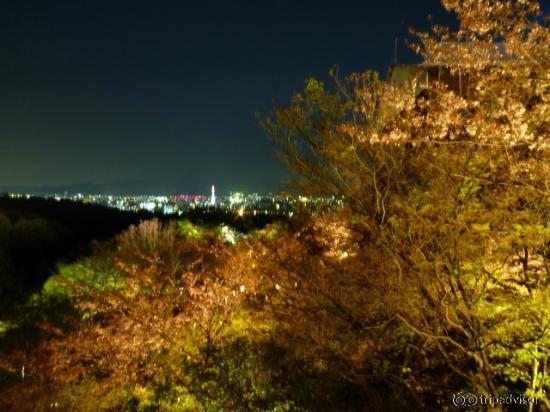 遠くに京都タワーの夜景を望む