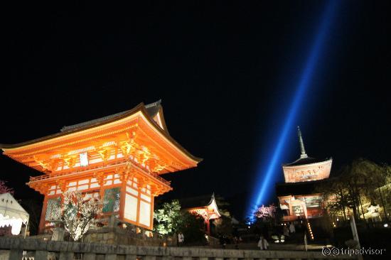 during the time of sakura