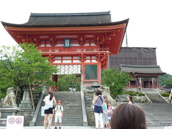 修繕中でも迫力あり