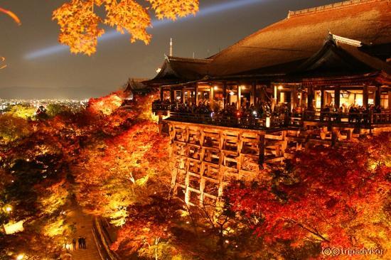 奥の院から見た景色