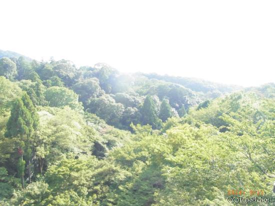 清水の舞台から