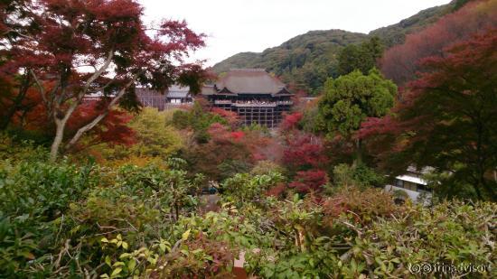 舞台を遠景より。