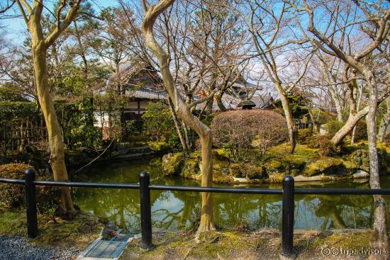 Храм Киёмидзу-дэра (2014/03/09)