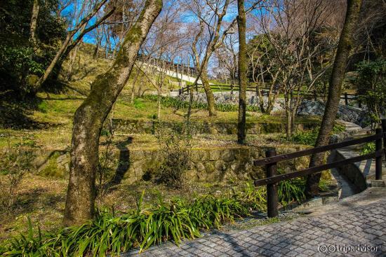 Храм Киёмидзу-дэра (2014/03/09)