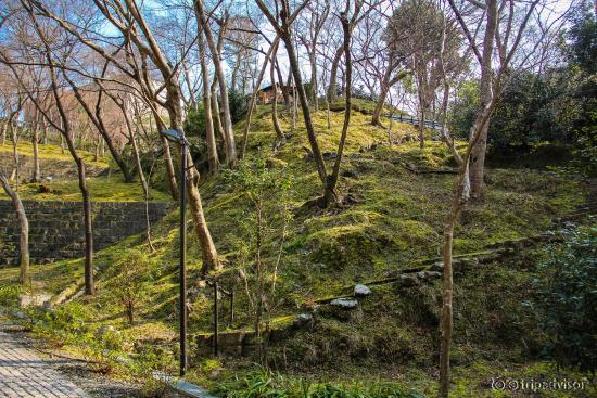 Храм Киёмидзу-дэра (2014/03/09)