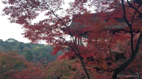 清水の舞台斜め後ろから