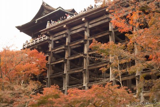 舞台を下から仰ぎ見て