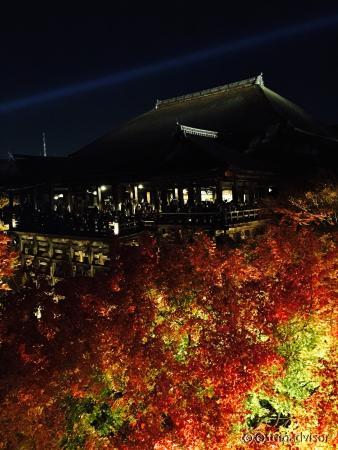 秋の紅葉定番スポット