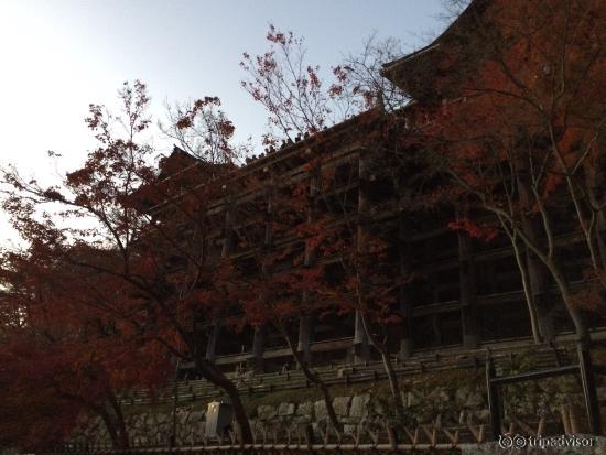 下から見た舞台は更に美しいと思う…