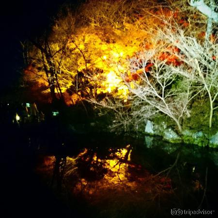 水面に映る紅葉が美しい