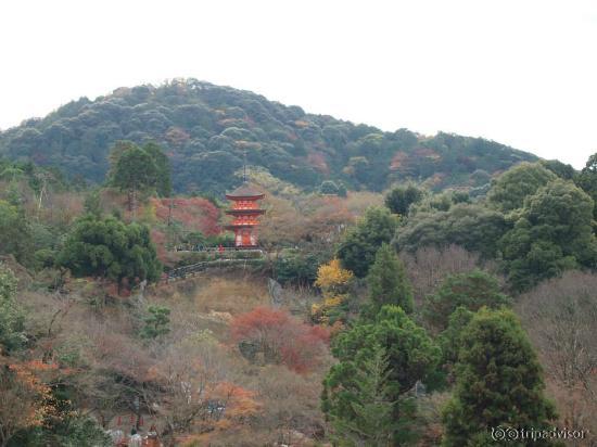 清水の舞台から見た子安塔