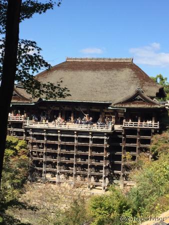 頭痛の御守り買いました