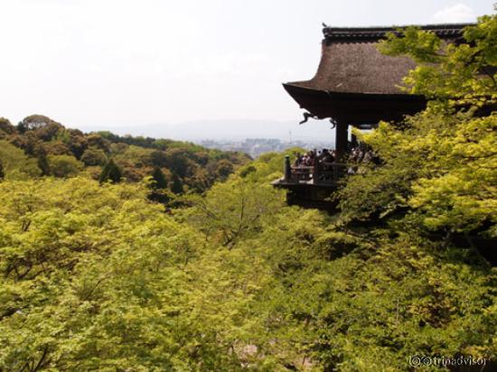 桜が終わったころの景色