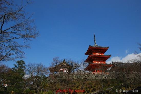 遇見好天氣，只差櫻花還沒開!