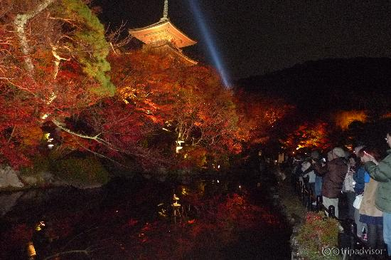 水鏡に映える紅葉