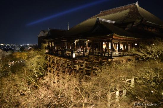 東山花灯路ライトアップ