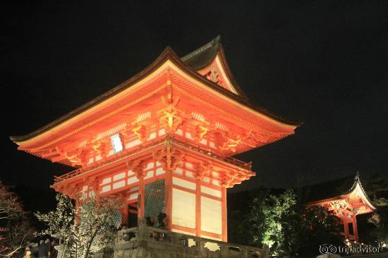 来て良かった～