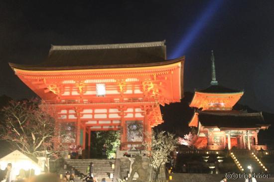 とても綺麗でした～