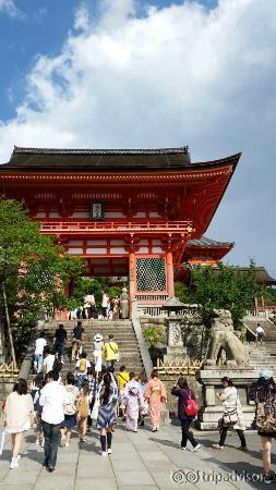 紫陽花時期の清水寺