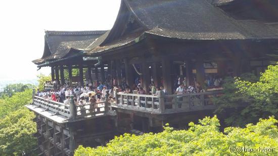 紫陽花時期の清水寺