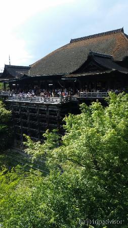 紫陽花時期の清水寺